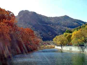 管家婆黑白马报图库，北大青鸟介绍